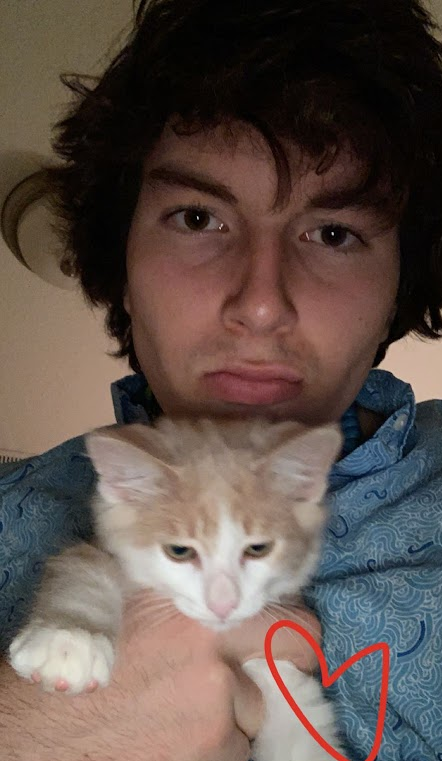 steve.png